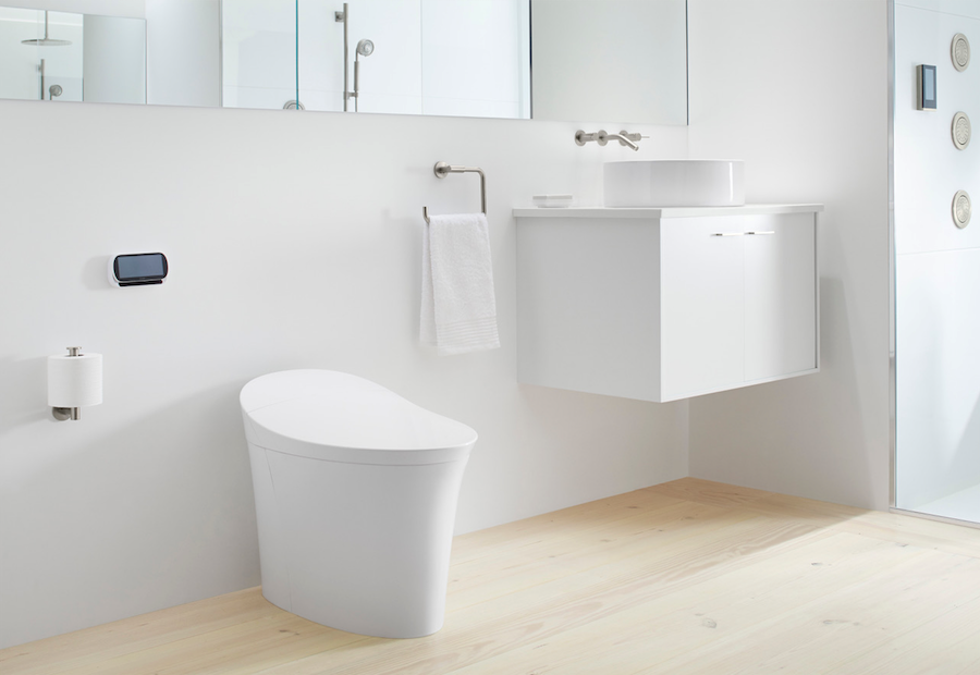 Lifting the Veil on smart toilets