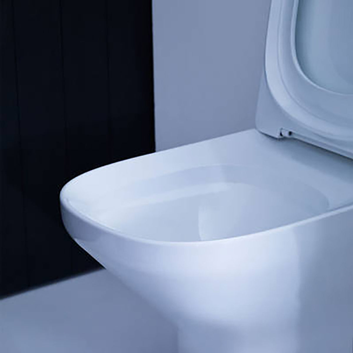 Kohler Wall Faced Toilet Pan & Seat