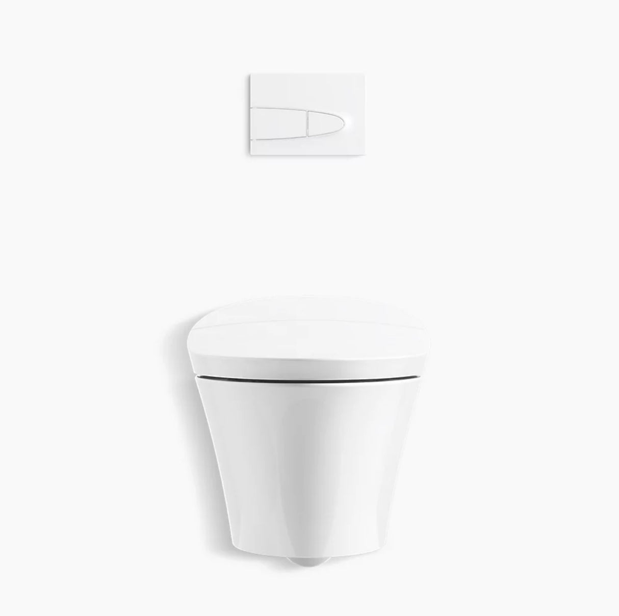 One-piece elongated smart toilet, dual-flush