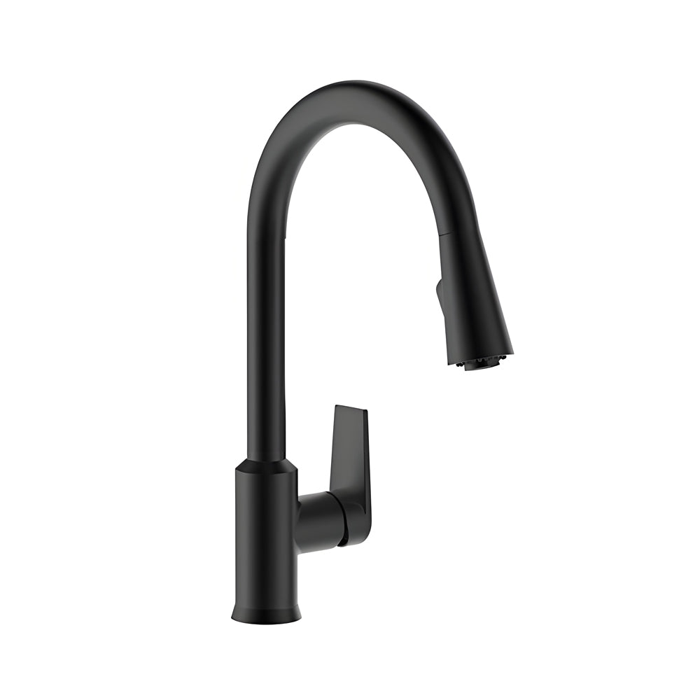 Taut Pull Out Spray Kitchen Mixer Matte Black 21367T-4E-BL