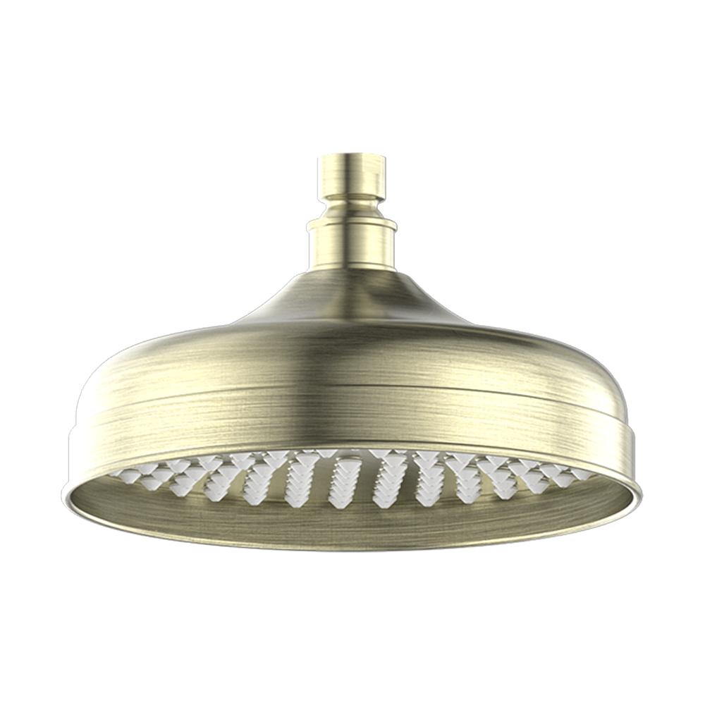 York 200mm Shower Head Aged Brass