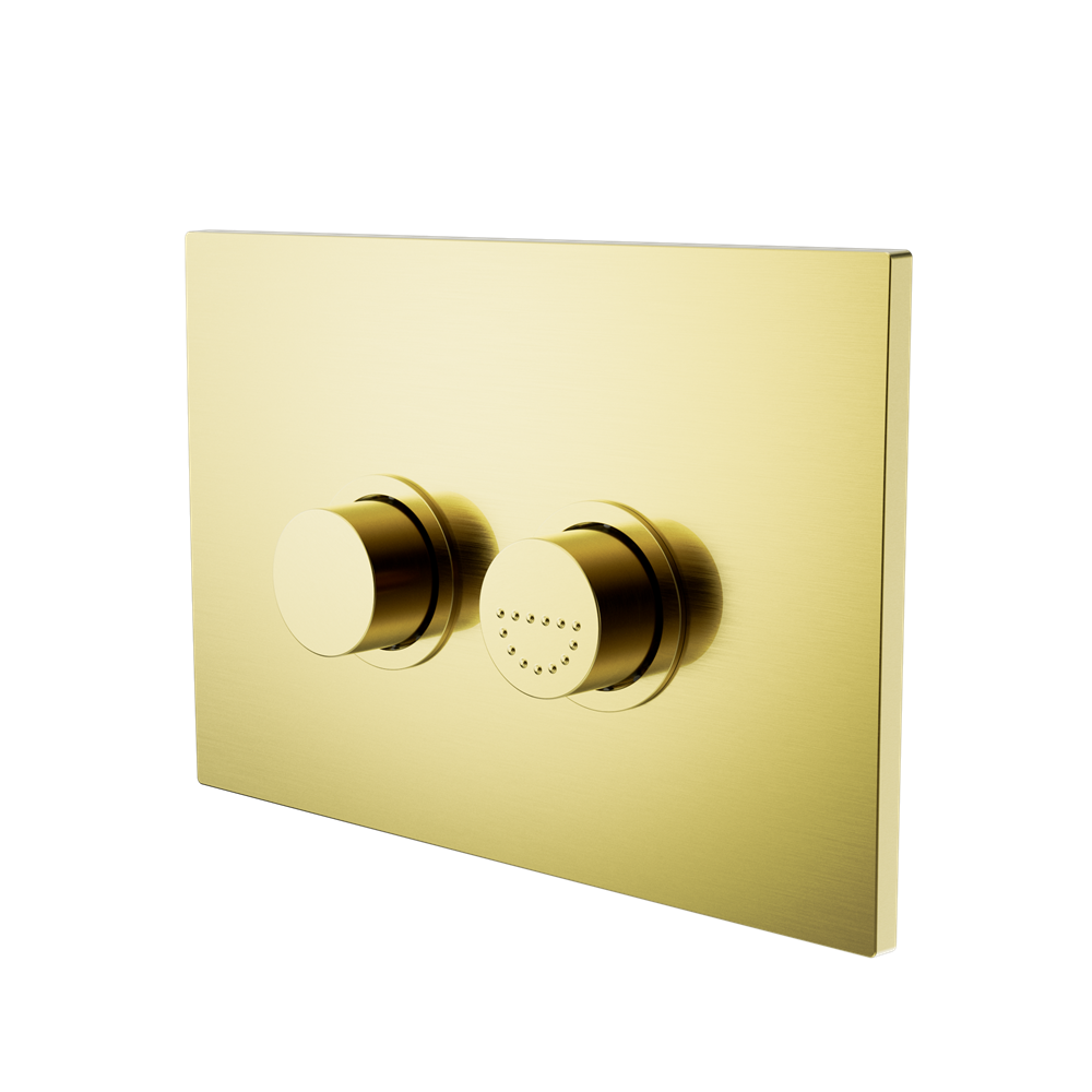 Raised Disabled Care Pneumatic Flush Buttons Plate Dda Compliant Brushed Gold