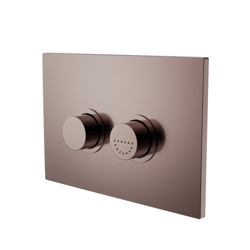 Raised Disabled Care Pneumatic Flush Buttons Plate Dda Compliant Brushed Bronze