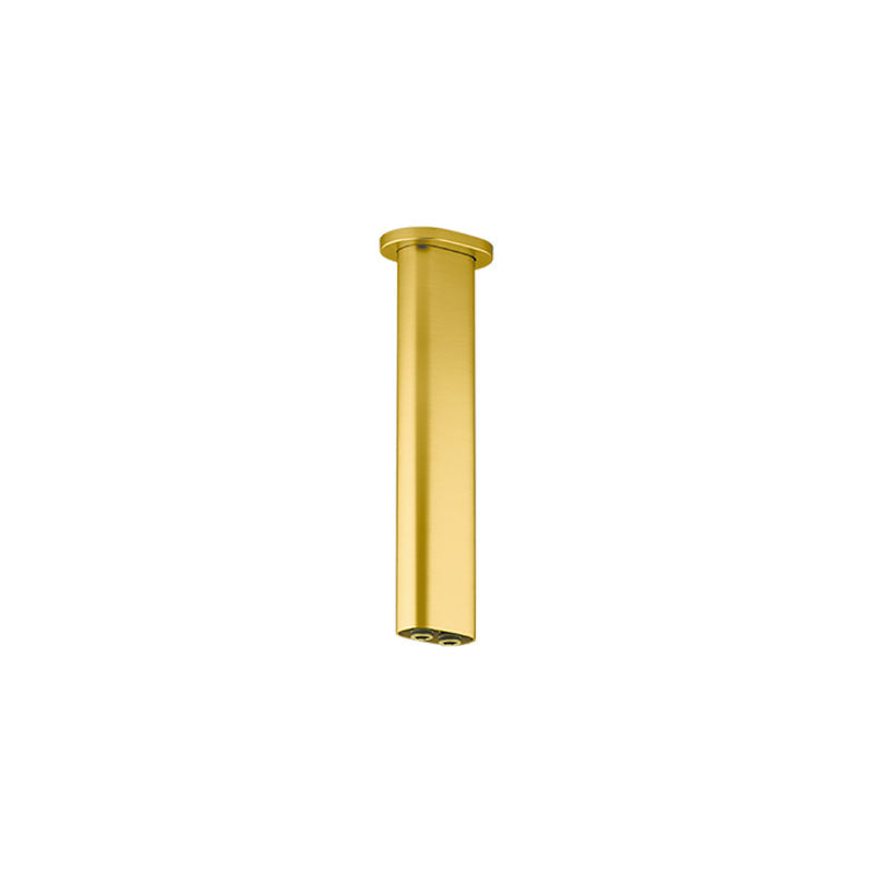 Statement Dual Function Ceiling Mount Rainhead Arm  254mm
