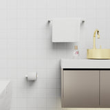 Bianca Toilet Roll Holder Chrome