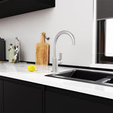 Bianca Kitchen Mixer Gooseneck Spout Brushed Nickel