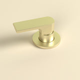 BIANCA SHOWER MIXER 80MM PLATE BRUSHED GOLD