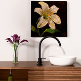 Mecca Hob Basin Mixer Round Swivel Spout Matte Black
