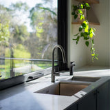 Mecca Pull Out Sink Mixer With Vegie Spray Function Gun Metal