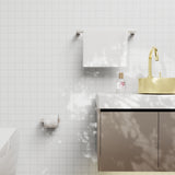 Bianca Toilet Roll Holder Brushed Nickel