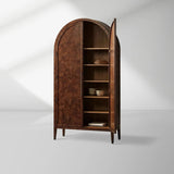 Hattie Burl Tall Cabinet Living Room Natural Wood Grain Storage Cabinet