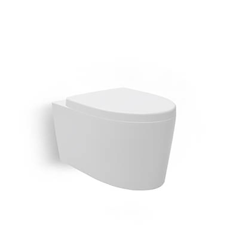 Kohler Wall Faced Toilet with Wrap Over Seat