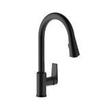 Taut Pull Out Spray Kitchen Mixer Matte Black