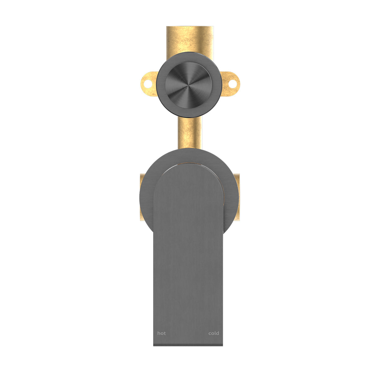 Bianca Shower Mixer With Divertor Separate Back Plate Gun Metal
