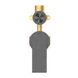 Bianca Shower Mixer With Divertor Separate Back Plate Gun Metal