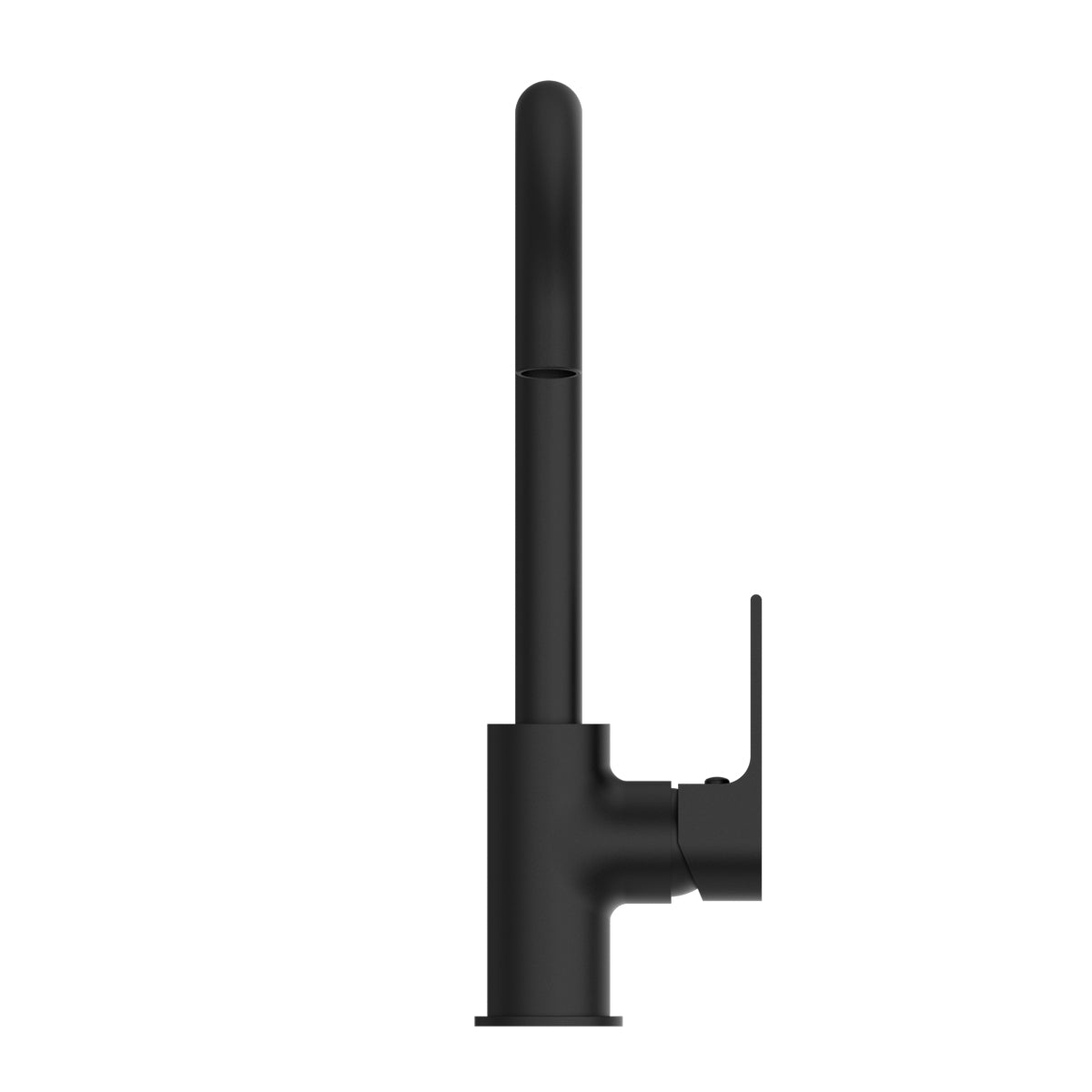 Bianca Kitchen Mixer Gooseneck Spout Matte Black