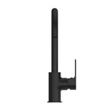 Bianca Kitchen Mixer Gooseneck Spout Matte Black