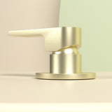 BIANCA SHOWER MIXER 80MM PLATE BRUSHED GOLD