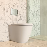 Kohler Wall Faced Toilet with Wrap Over Seat