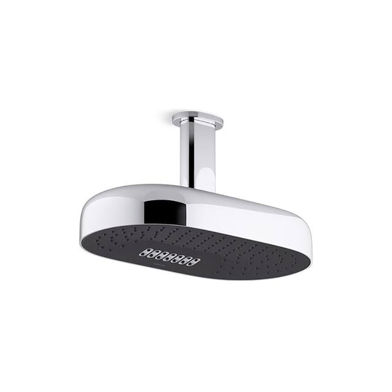 Statement Dual Function Rainhead  Deep Massage