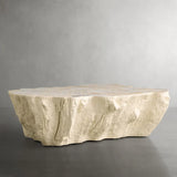 Clayhill Irregular Shape Coffee Table Petrified Wood Cocktail Table Unique Sofa Center Tea Table