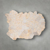 Clayhill Irregular Shape Coffee Table Petrified Wood Cocktail Table Unique Sofa Center Tea Table