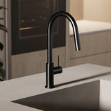 Mecca Kitchen Mixer Matte Black