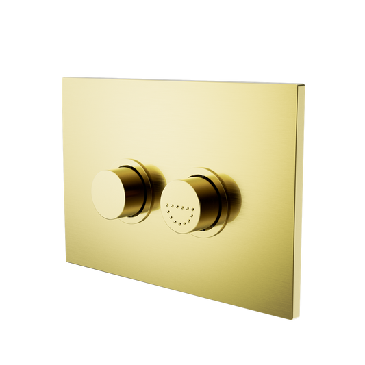 Raised Disabled Care Pneumatic Flush Buttons Plate Dda Compliant Brushed Gold